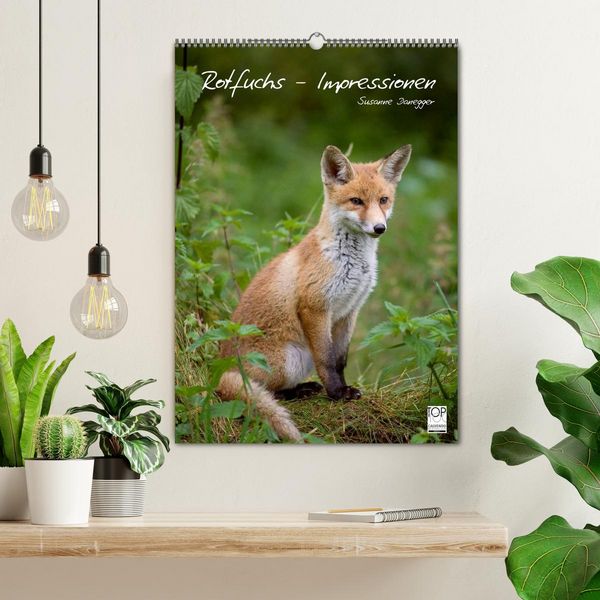 Produktbild: Rotfuchs - Impressionen (Wandkalender 2026 DIN A2 hoch), CALVENDO Monatskalender