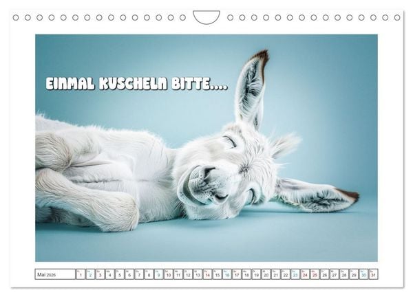 Produktbild: Humorvoll durch das Jahr (Wandkalender 2026 DIN A4 quer), CALVENDO Monatskalender