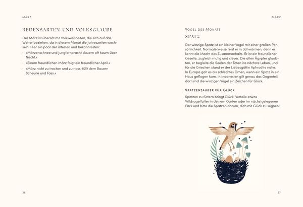 Produktbild: The Mystical Year