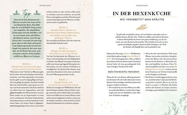 Produktbild: Zaubernuss und Waldmagie – Naturmomente für deine Seele