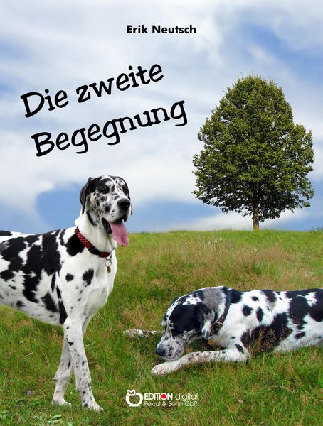 Produktbild: Die zweite Begegnung