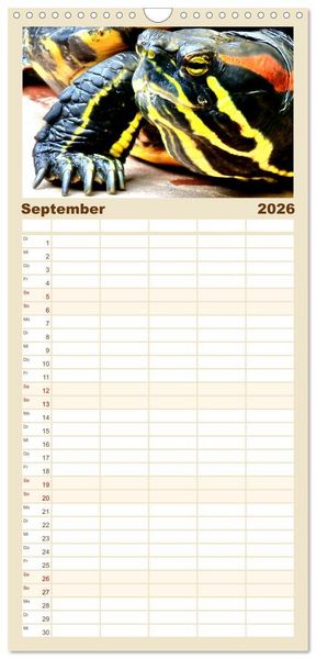 Produktbild: Familienplaner 2026 - Schmuckschildkr&ouml;ten - Schmuckst&uuml;cke der Natur mit 5 Spalten (Wandkalender, 21 x 45 cm) CALVENDO