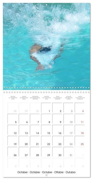Produktbild: Triathlon Fairly Close (Wall Calendar 2026 12 &times; 12 Inch) CALVENDO 12 Month Wall Calendar