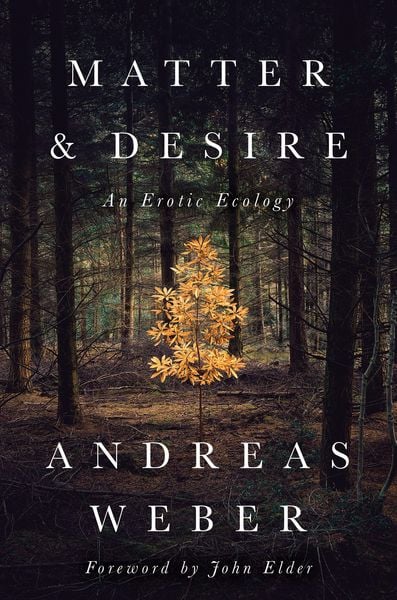 Produktbild: Matter and Desire