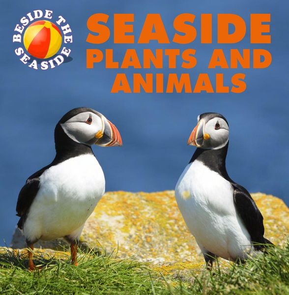 Produktbild: Beside the Seaside: Seaside Plants and Animals