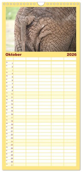 Produktbild: Familienplaner 2026 - Elefanten in Afrika mit 5 Spalten (Wandkalender, 21 x 45 cm) CALVENDO