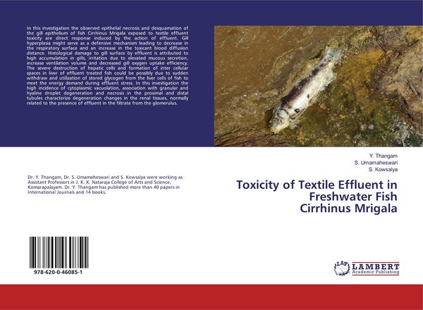 Produktbild: Toxicity of Textile Effluent in Freshwater FishCirrhinus Mrigala