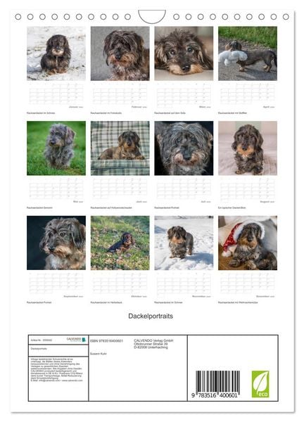 Produktbild: Dackelportraits (Wandkalender 2026 DIN A4 hoch), CALVENDO Monatskalender