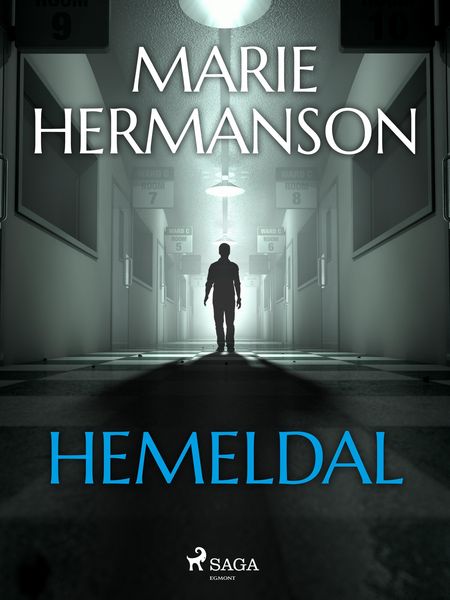 Produktbild: Hemeldal