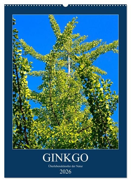 Produktbild: Ginkgo (Wandkalender 2026 DIN A2 hoch), CALVENDO Monatskalender