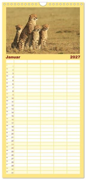 Produktbild: Familienplaner 2027 - Geparden - Begegnungen in Afrika mit 5 Spalten (Wandkalender, 21 x 45 cm) CALVENDO