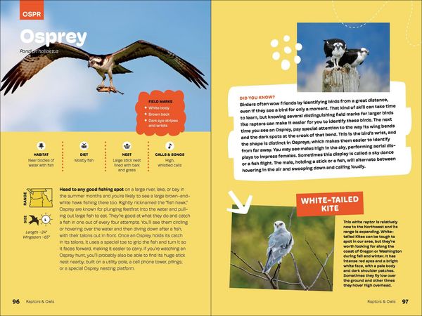 Produktbild: Birds of the Pacific Northwest for Kids