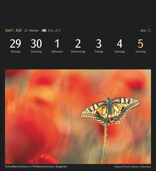 Produktbild: Magic Nature Postkartenkalender Kalender 2026 - Kalender mit 53 Postkarten