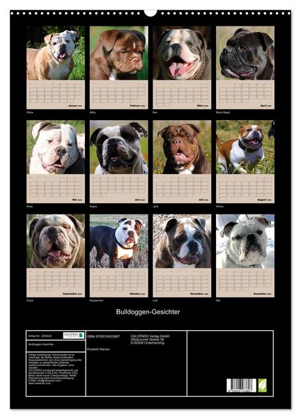 Produktbild: Bulldoggen-Gesichter (Wandkalender 2026 DIN A2 hoch), CALVENDO Monatskalender