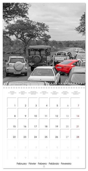 Produktbild: Red spots around the world (Wall Calendar 2027 12 &times; 12 Inch) CALVENDO 12 Month Wall Calendar