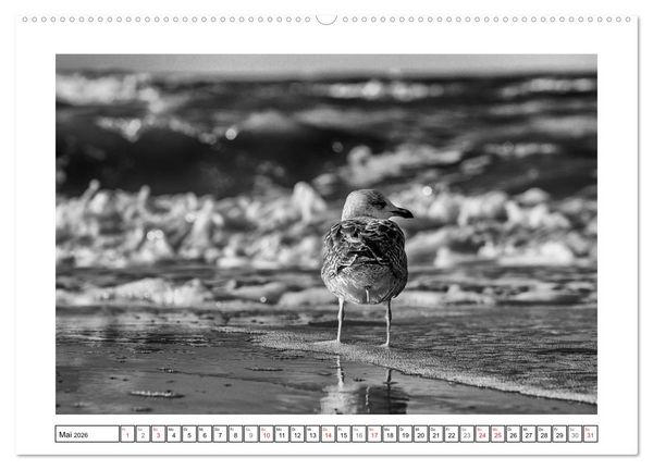 Produktbild: Am Strand von St. Peter-Ording SCHWARZ-WEISS (hochwertiger Premium Wandkalender 2026 DIN A2 quer), Kunstdruck in Hochglanz