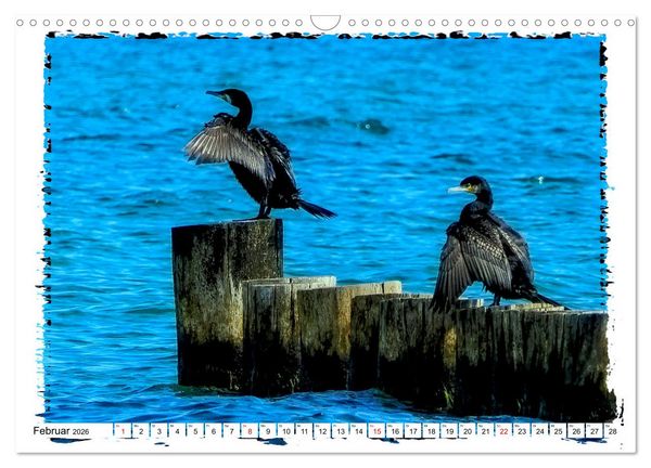 Produktbild: Zingst Sehnsucht nach Meer (Wandkalender 2026 DIN A3 quer), CALVENDO Monatskalender