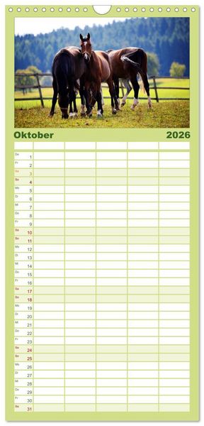 Produktbild: Familienplaner 2026 - Faszination Pferde mit 5 Spalten (Wandkalender, 21 x 45 cm) CALVENDO