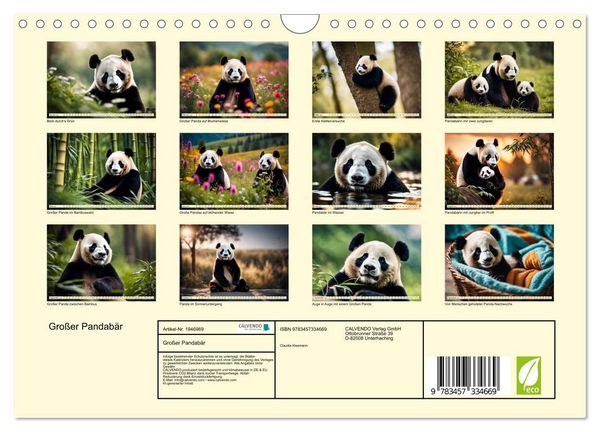 Produktbild: Gro&szlig;er Pandab&auml;r (Wandkalender 2026 DIN A4 quer), CALVENDO Monatskalender