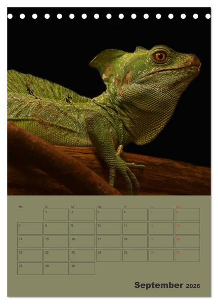 Produktbild: Minidrachen - Die kleinen Nachkommen der Urzeitmonster (Tischkalender 2026 DIN A5 hoch), CALVENDO Monatskalender
