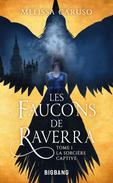 Produktbild: Les Faucons de Raverra, T1 : La Sorci&egrave;re captive