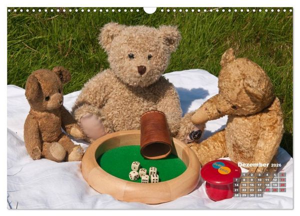 Produktbild: Geliebte B&auml;ren - Teddys (Wandkalender 2026 DIN A3 quer), CALVENDO Monatskalender