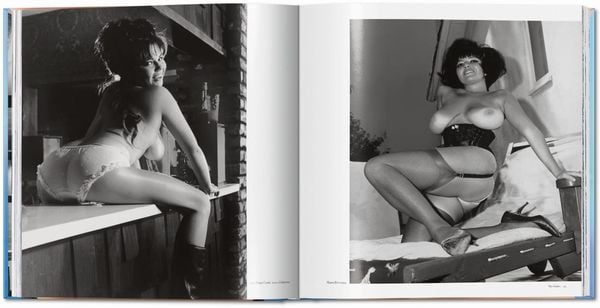 Produktbild: The Big Book of Breasts