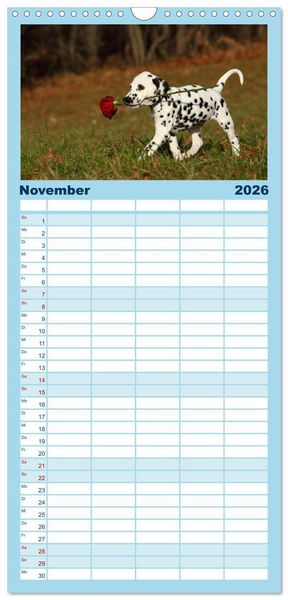 Produktbild: Familienplaner 2026 - Welpen - Puppies mit 5 Spalten (Wandkalender, 21 x 45 cm) CALVENDO