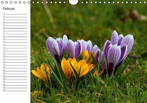 Produktbild: Ich denk an Dich ... Pers&ouml;nlicher Terminkalender (Wandkalender immerw&auml;hrend DIN A4 quer)