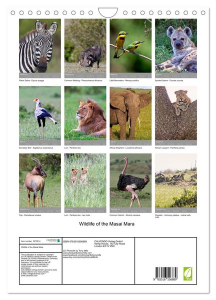 Produktbild: Wildlife of the Masai Mara (Wall Calendar 2026 DIN A4 portrait), CALVENDO 12 Month Wall Calendar