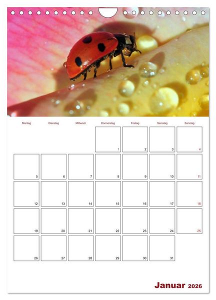 Produktbild: Marienk&auml;fergl&uuml;ck (Wandkalender 2026 DIN A4 hoch), CALVENDO Monatskalender