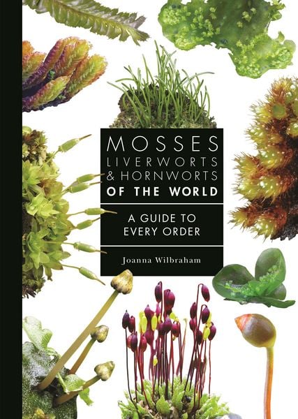Produktbild: Mosses, Liverworts, and Hornworts of the World