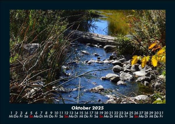 Produktbild: Pflanzen und Bl&uuml;ten 2025 Fotokalender DIN A5