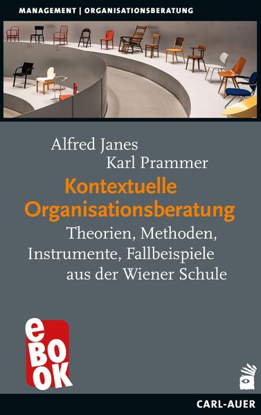 Produktbild: Kontextuelle Organisationsberatung