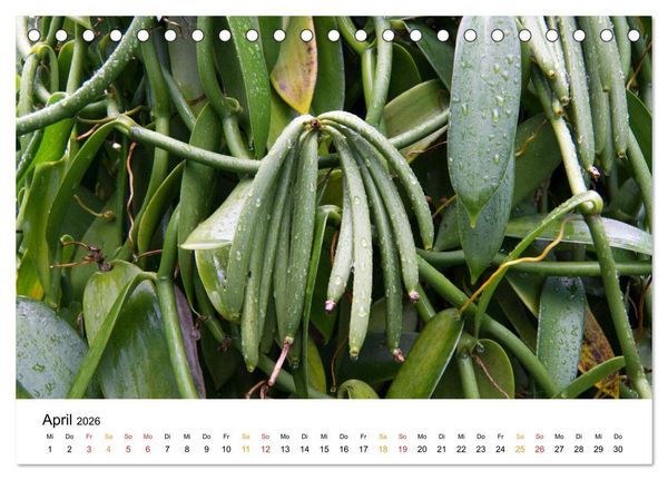 Produktbild: La R&eacute;union - Auf der Insel der Gef&uuml;hle (Tischkalender 2026 DIN A5 quer), CALVENDO Monatskalender