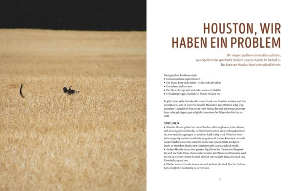 Produktbild: Leinen los! Freilauftraining f&uuml;r den Hund