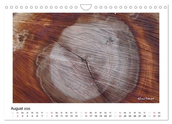 Produktbild: Holz - so vielf&auml;ltig (Wandkalender 2026 DIN A4 quer), CALVENDO Monatskalender