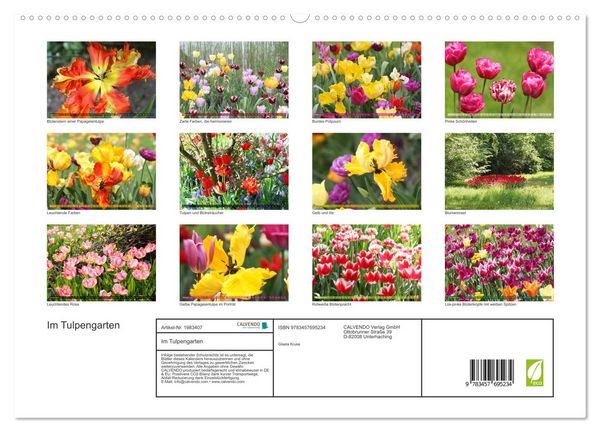 Produktbild: Im Tulpengarten (hochwertiger Premium Wandkalender 2026 DIN A2 quer), Kunstdruck in Hochglanz