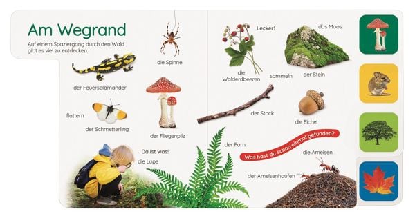 Produktbild: Erstes Lernen Pocket. Im Wald