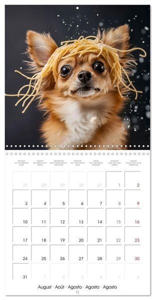 Produktbild: Cute Chihuahua (Wall Calendar 2026 12 &times; 12 Inch) CALVENDO 12 Month Wall Calendar