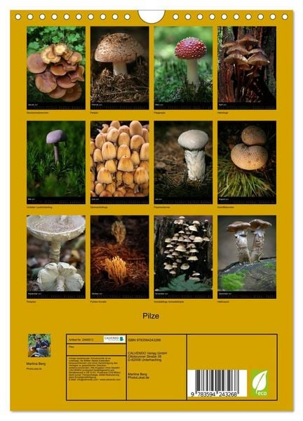 Produktbild: Pilze (Wandkalender 2027 DIN A4 hoch), CALVENDO Monatskalender