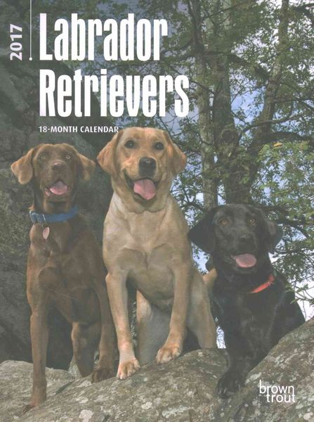 Produktbild: Labrador Retrievers 2017 Desk Diary