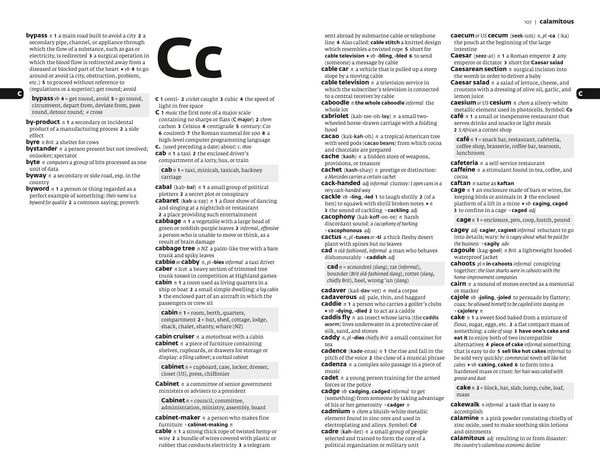 Produktbild: Paperback English Dictionary and Thesaurus Essential