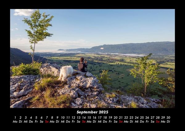 Produktbild: B&auml;ume 2025 Fotokalender DIN A3