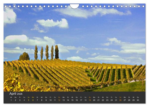 Produktbild: Die S&uuml;dsteirischen Weinstrasse (Wandkalender 2026 DIN A4 quer), CALVENDO Monatskalender
