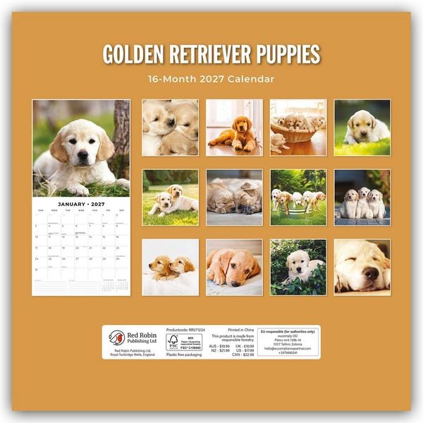 Produktbild: Golden Retriever Puppies &ndash; Golden Retriever Welpen 2027 &ndash; 16-Monatskalender