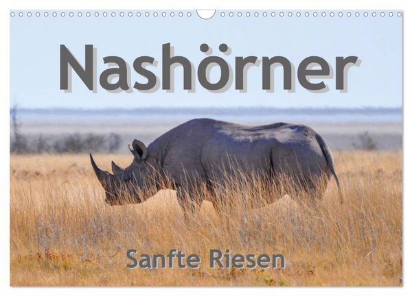 Produktbild: Nash&ouml;rner - Sanfte Riesen (Wandkalender 2026 DIN A3 quer), CALVENDO Monatskalender