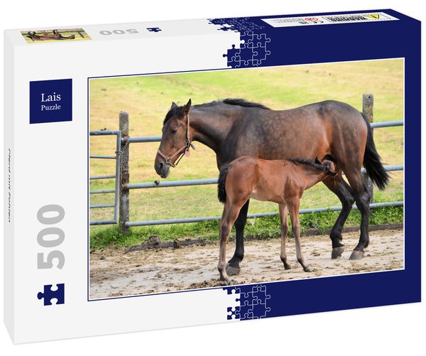 Lais Puzzle Pferd mit Fohlen 500 Teile