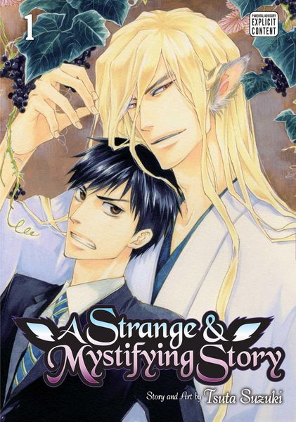 Produktbild: A Strange & Mystifying Story, Vol. 1