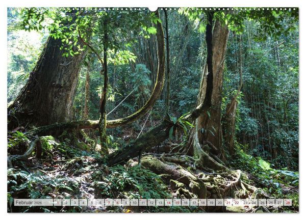 Produktbild: W&auml;lder der Welt (hochwertiger Premium Wandkalender 2026 DIN A2 quer), Kunstdruck in Hochglanz